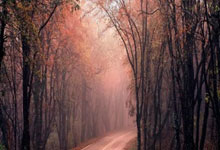 精彩进球瞬间！球员技术精湛！