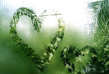 高能进攻，速度和配合令人惊叹！