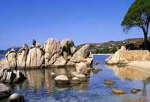 欧国联赛事揭秘，尖锐对决将搏出谁是王者